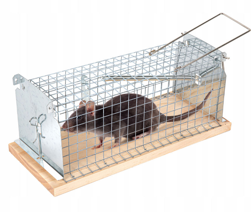 Živolovka - drátěná odchytová živolovná past na myši, krysy a jiné hlodavce XL 29 x 12 x 12 cm